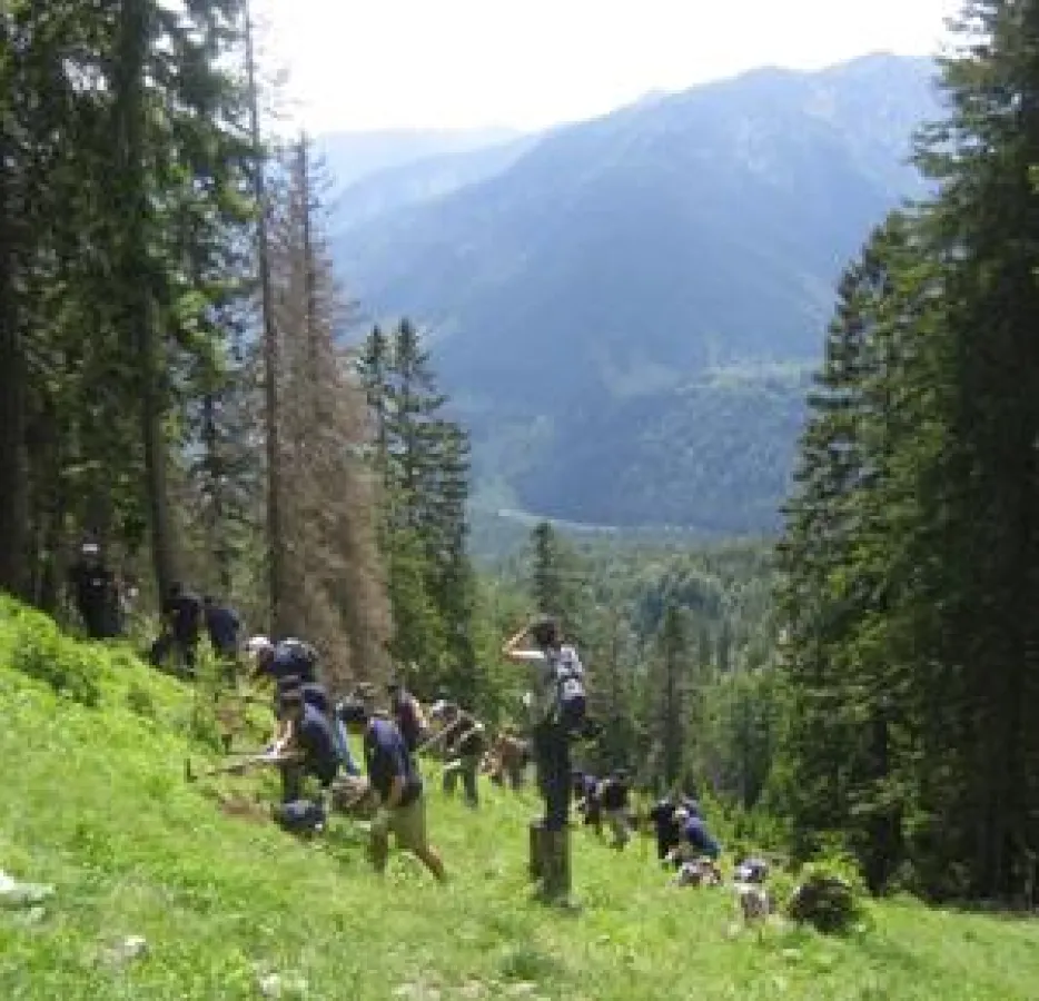 Nachhaltige Events stärken Unternehmen langfristig