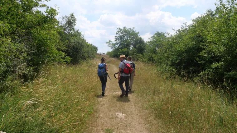 Bild: Der Besuch der Natur macht gesund 