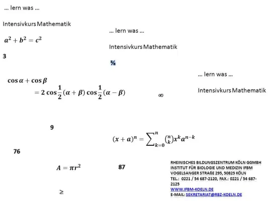 Bild: Mathematik-Intensivkurs für angehende Ingenieure, Biologen und Mediziner am IFBM Köln