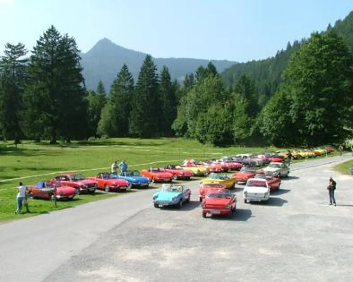 Fiat 850 e.V. - Alpentour 2008