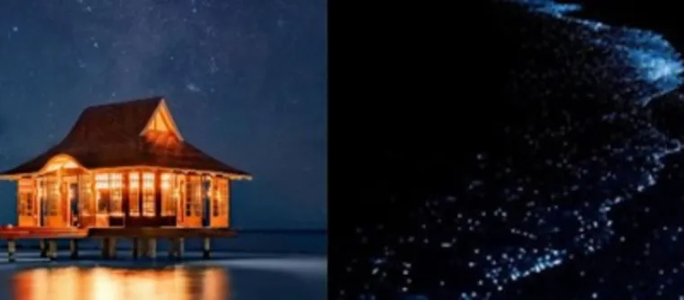 Noctourismus-Abenteuer im Nova Maldives Bild: Noctourismus-Abenteuer im Nova Maldives