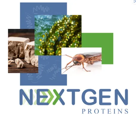 Bild: Nachhaltig und vielseitig: Mit neuen Proteinen zu mehr Kreativität in der Küche