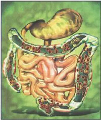 Bild: Patientenscout freigeschaltet