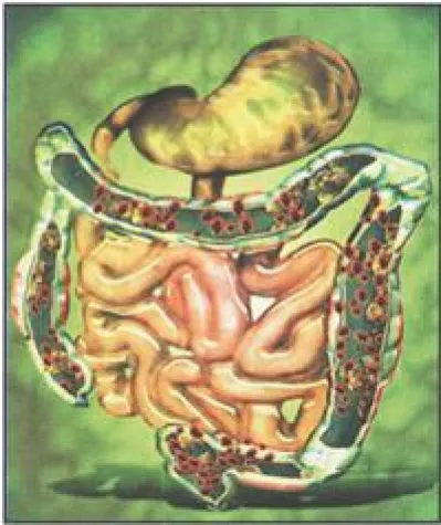 Bild: Patientenscout freigeschaltet