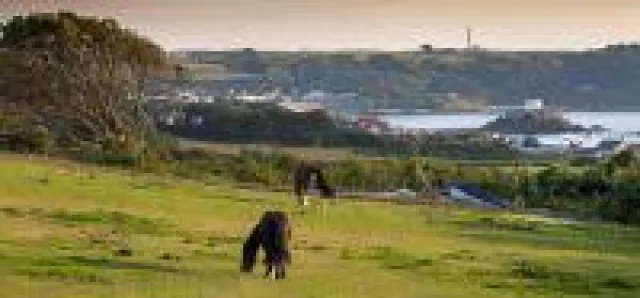 Filmreife Kulissen und reizende Events: Herbsthighlights auf Guernsey 2018 Bild: Filmreife Kulissen und reizende Events: Herbsthighlights auf Guernsey 2018