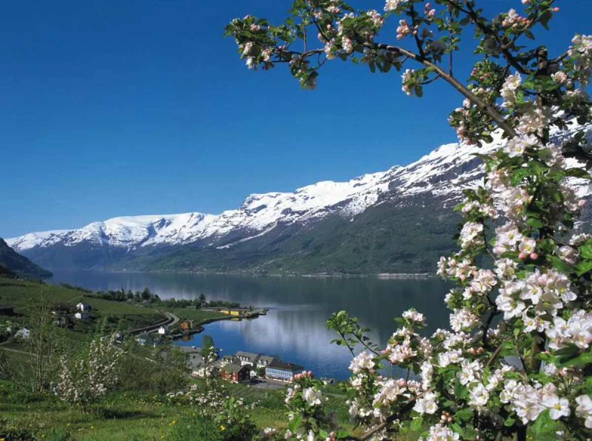 Fantastische Aussichten: Norwegens Fjordlandschaft