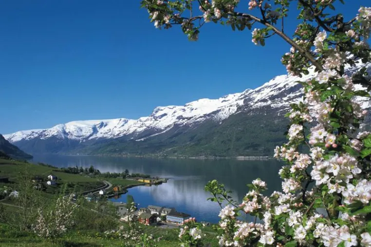 Bild: Norwegens Fjorde