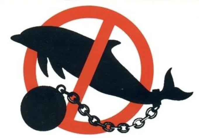 Bild: Streit um Nürnberger Delfinarium setzt sich fort – Tierschützer fordern Baustopp