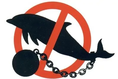Streit um Nürnberger Delfinarium setzt sich fort – Tierschützer fordern Baustopp Bild: Streit um Nürnberger Delfinarium setzt sich fort – Tierschützer fordern Baustopp
