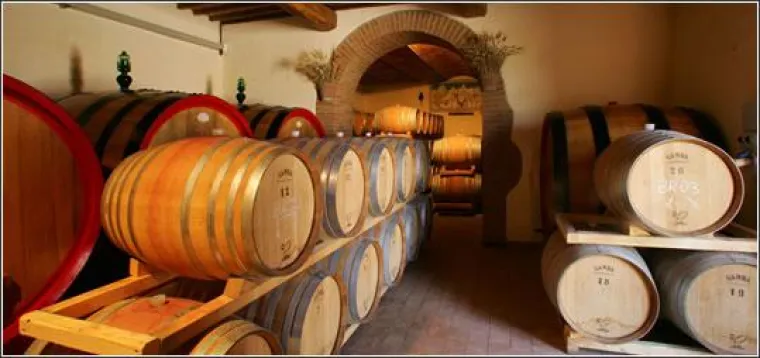 Bild: Weinreise ins Anbaugiet Colli Bolognesi