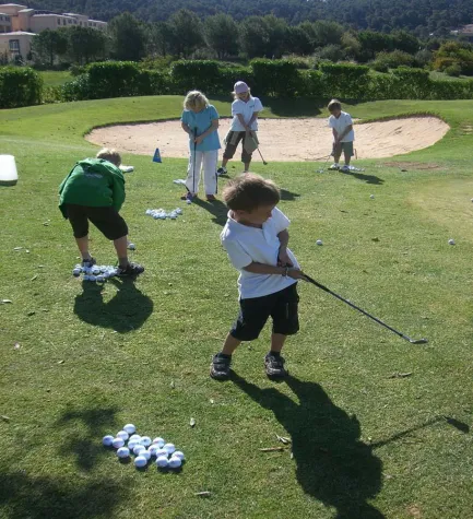 Bild: Green-Vieh grast auf der Sommerweide auf Mallorca