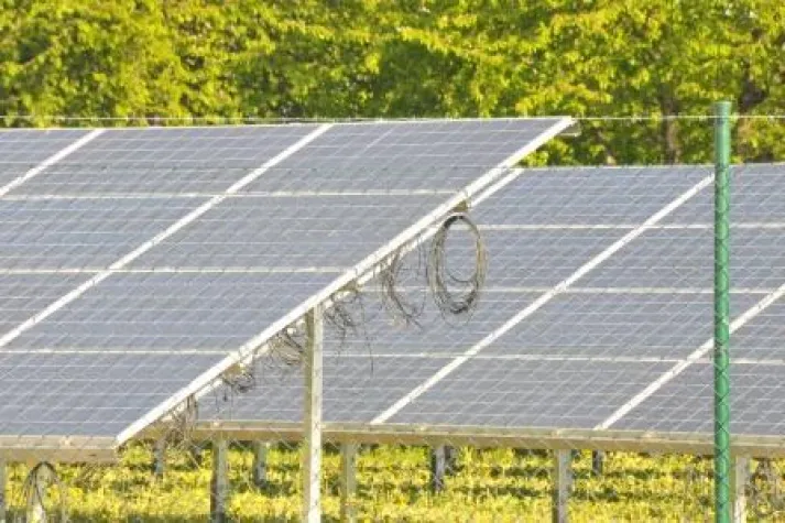 Brennstoffspiegel: Pleitewelle in Solarwirtschaft rollt weiter Bild: Brennstoffspiegel: Pleitewelle in Solarwirtschaft rollt weiter