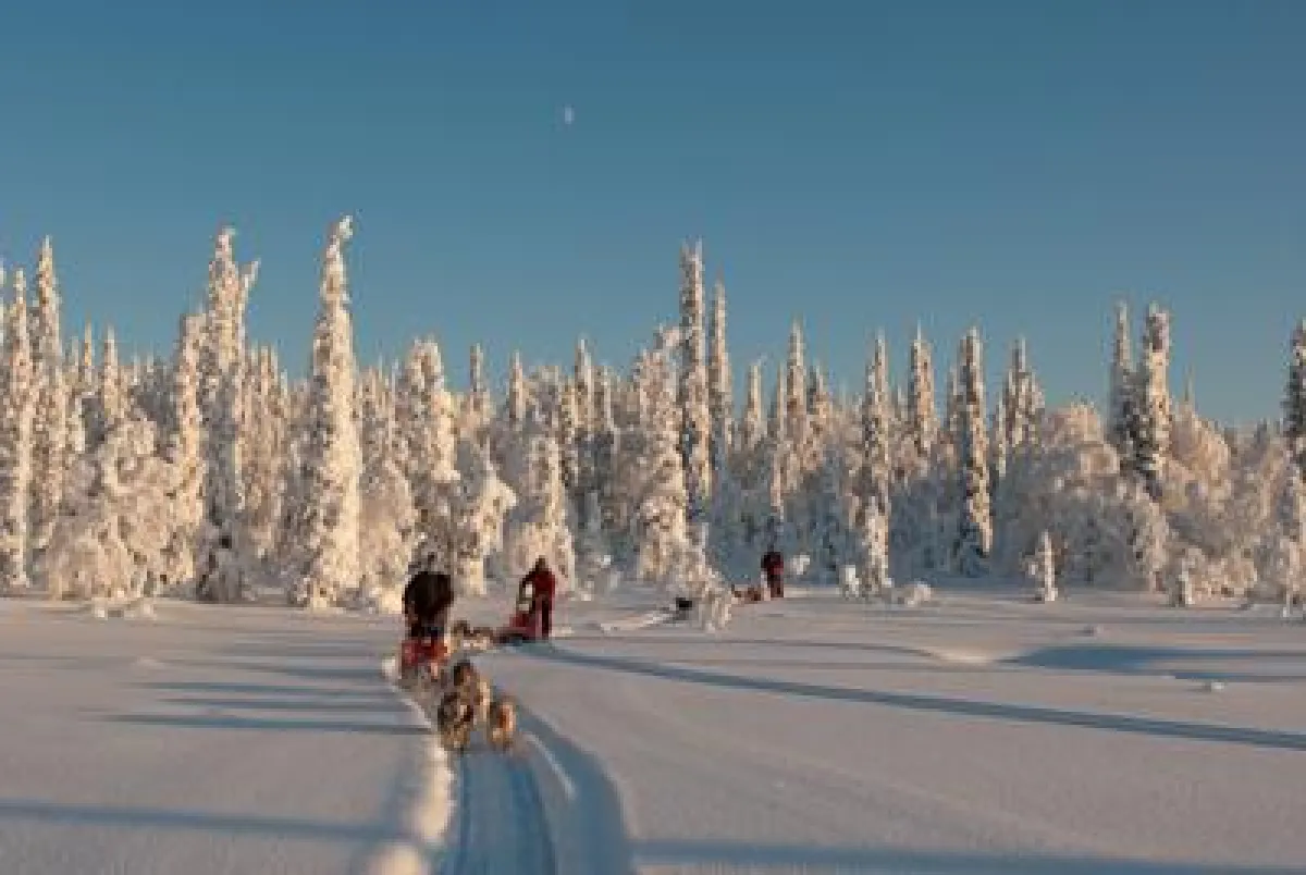 Hundeschlittentour_Lappland_Travel&Personality