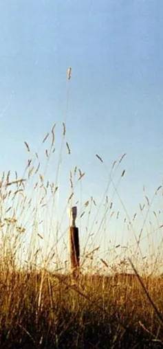Skulpturenpark im Olivenhain - Naturschutz und Kunst als Werbestrategie für umweltbewußte Unternehmen Bild: Skulpturenpark im Olivenhain - Naturschutz und Kunst als Werbestrategie für umweltbewußte Unternehmen