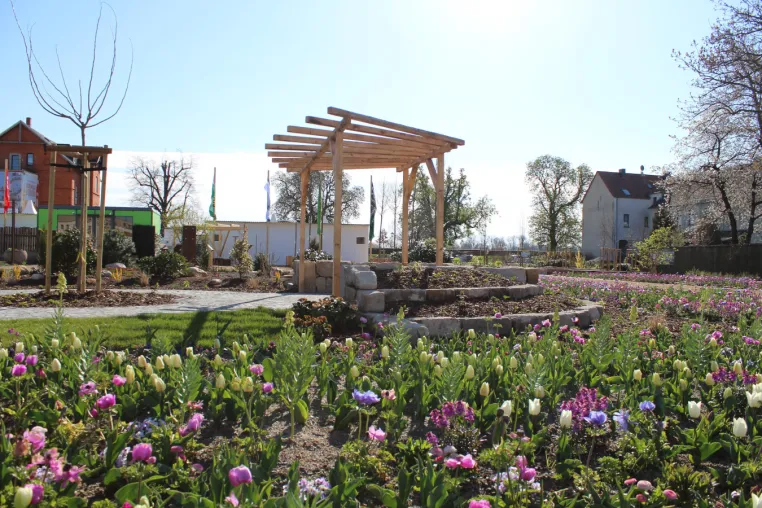 HYDRALIT Staudensubstrate: Pflegeleichtes Blütenmeer auf der Landesgartenschau Torgau Bild: HYDRALIT Staudensubstrate: Pflegeleichtes Blütenmeer auf der Landesgartenschau Torgau