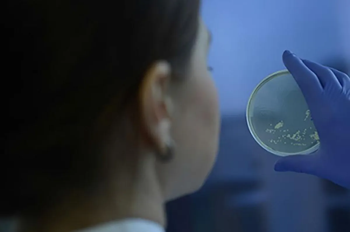 Developing new antibiotics, from the first idea to proof of concept.  (Fraunhofer ITEM)