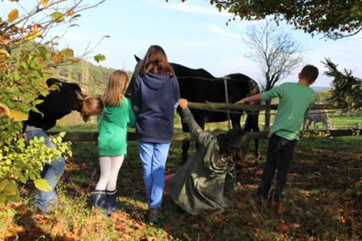 Das Versorgen der Tiere ist  ein wichtiger Bestandteil des Bauernhoftages.