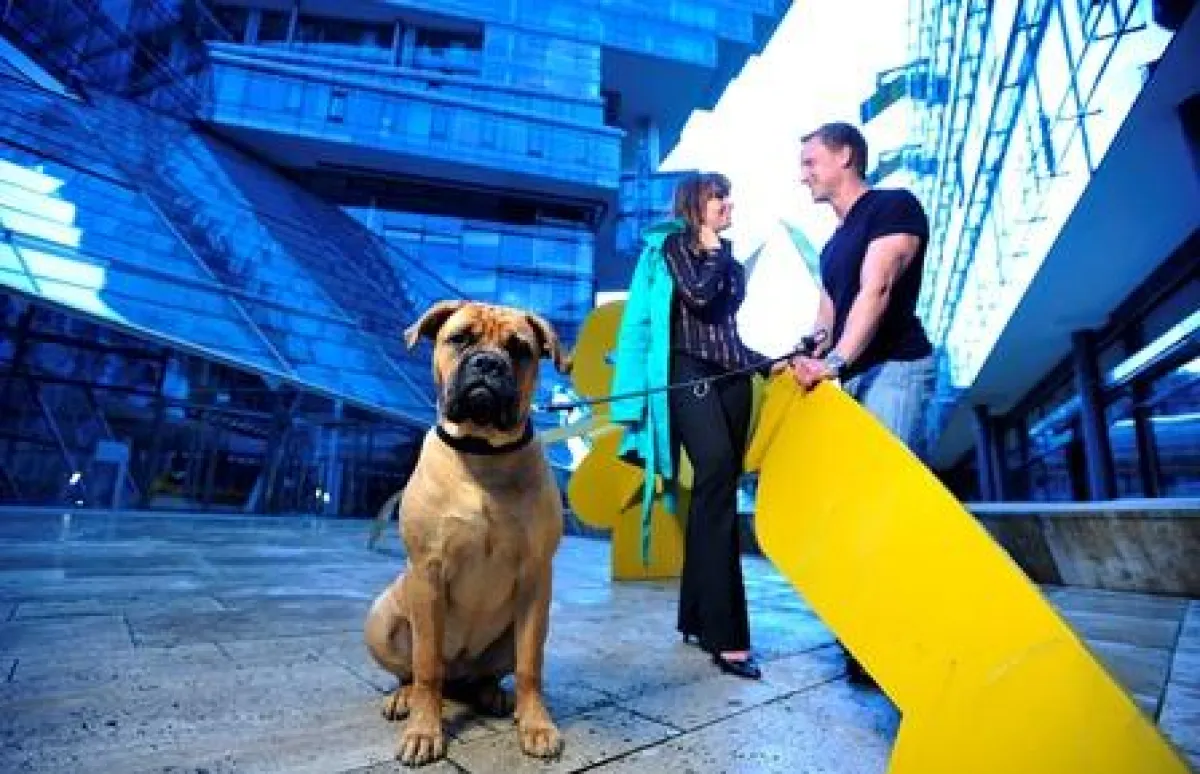 AGILA-Umfrage zeigt, wie sich Tierhalter bei der Frage Partner oder Haustier entscheiden würden (www.agila.de)