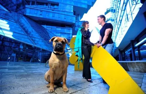 Bild: Partner oder Haustier?: Umfrage der Hundeversicherung AGILA zeigt, wen Tierhalter bevorzugen