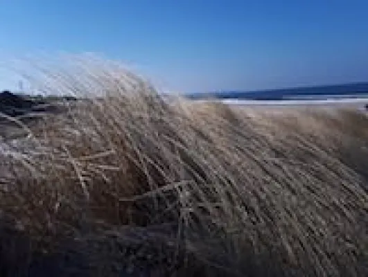 Bild: Toleranzmanager (ISO-GPS) inklusive Prüfung und Zertifikat am 01.-03.08.2018 Sommerakademie Timmendorf