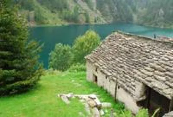 Reisende Schafe am Lago Maggiore Bild: Reisende Schafe am Lago Maggiore