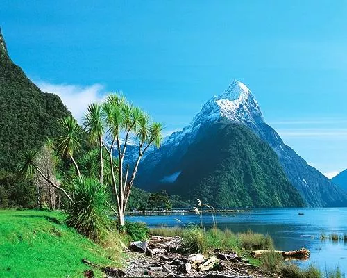 Bild: Kurzaufenthalte bei den Kiwis - iSt bietet ab Sommer 2012 Kurzaufenthalte an neuseeländischen Schulen an