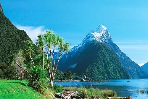 Kurzaufenthalte bei den Kiwis - iSt bietet ab Sommer 2012 Kurzaufenthalte an neuseeländischen Schulen an Bild: Kurzaufenthalte bei den Kiwis - iSt bietet ab Sommer 2012 Kurzaufenthalte an neuseeländischen Schulen an