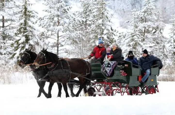 Mit zwei PS über das Eis: Pferdeschlittenfahrten am Weissensee Bild: Mit zwei PS über das Eis: Pferdeschlittenfahrten am Weissensee