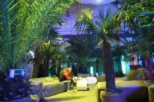 Bild: NaturKunstMarkt in der Palmenhalle