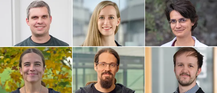 Bild: Sechs neue ERC Starting Grants für Würzburger Forschende bewilligt