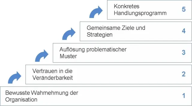 Bild: Innovativer Coaching- und Beratungsansatz für erfolgreiches Projektmanagement