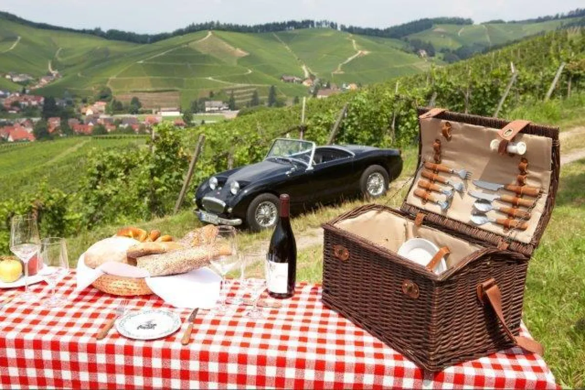 Picknick in den Weinbergen