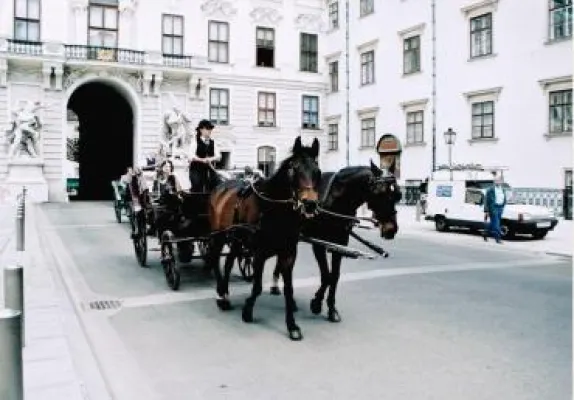 Bild: Das Unternehmen Gerhard und Sabine Wallner präsentiert sich mit neuem Video von yellowMEDIA