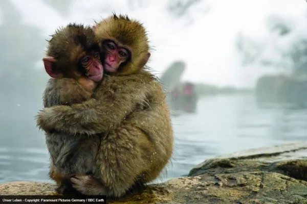 „Unser Leben“ ist Kinderfilm des Monats September Bild: „Unser Leben“ ist Kinderfilm des Monats September