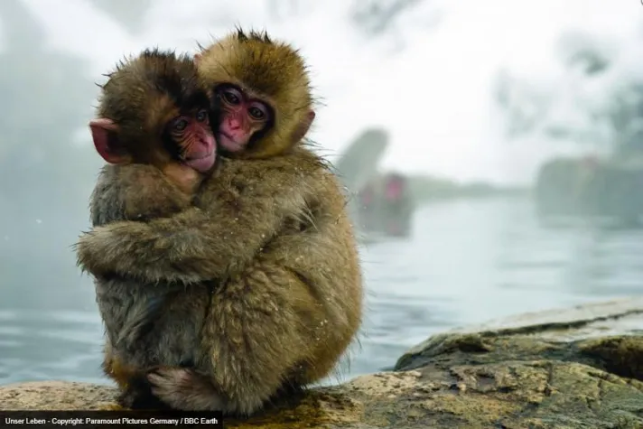 Bild: „Unser Leben“ ist Kinderfilm des Monats September