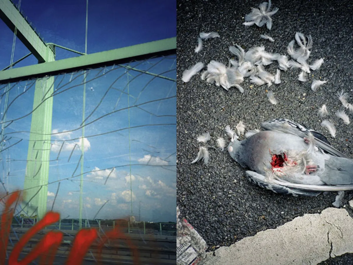 Martin Menke, aus der Serie „In a fishbole“ – honorarfrei bei Nennung des Fotografen und der Ausstellung