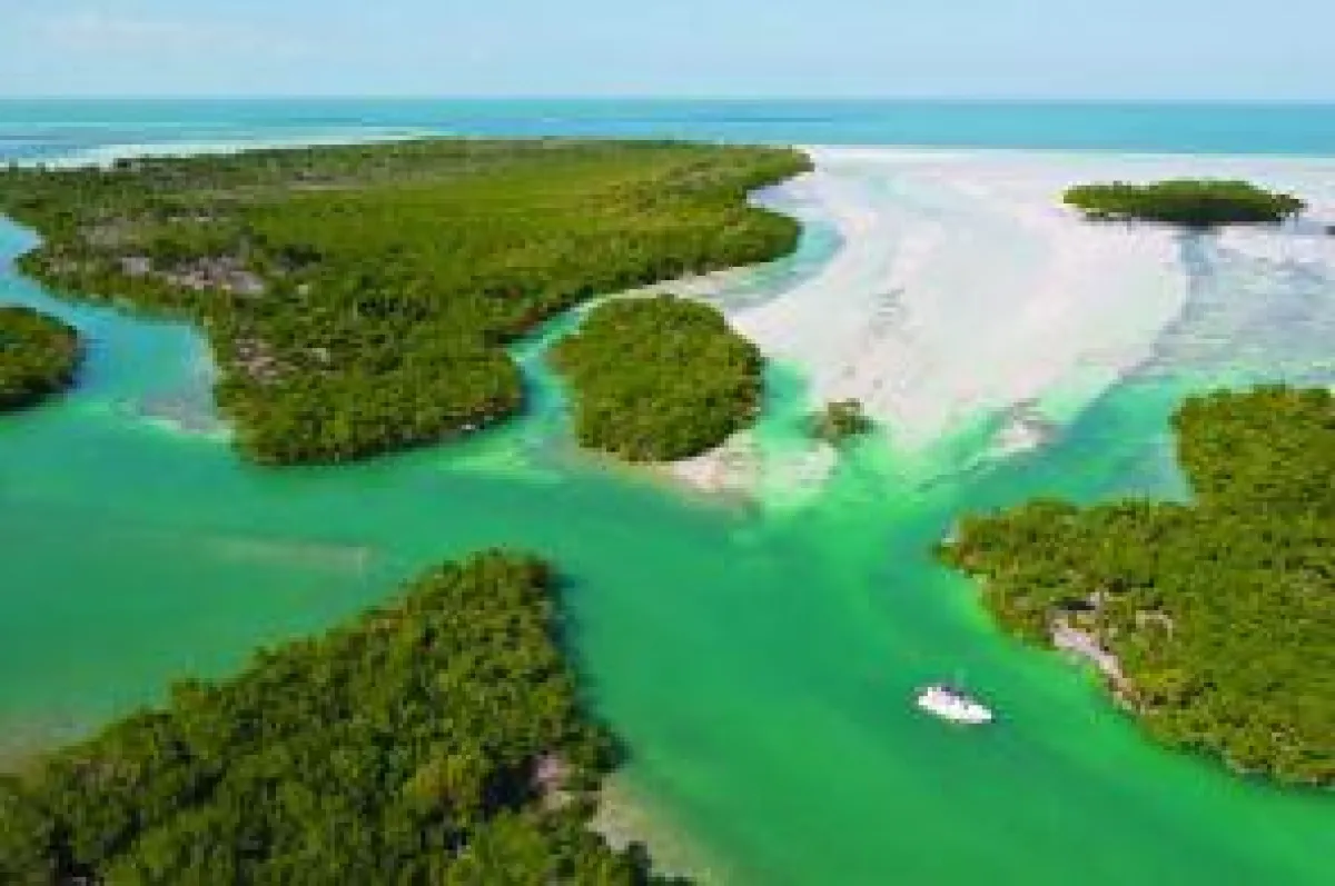 Snipes Keys in the Lower Florida Keys are part of the FKNMS_Copyright_Andy Newman, Florida Keys News