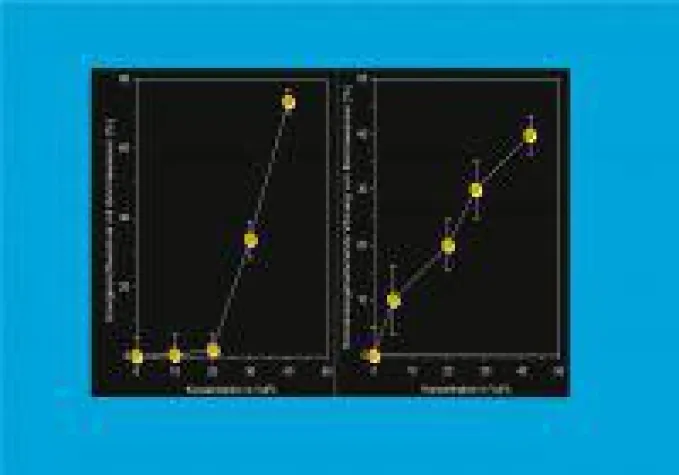 Bild: Wasserbelebung: Zwischen Naturgesetzen und Technologiewahn