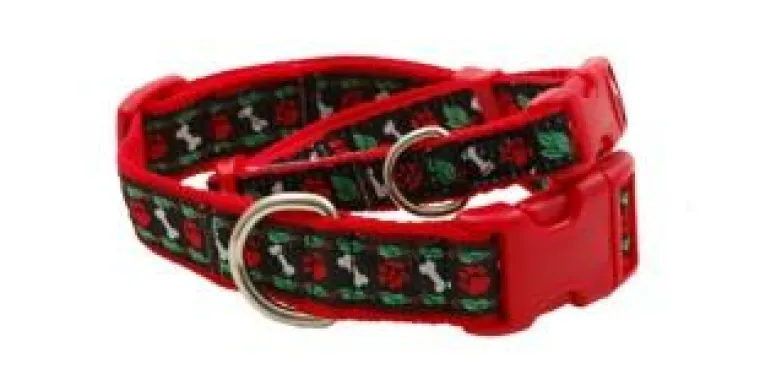 Bild: Die Mode kommt auf den Hund