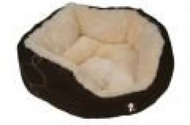 Bild: Katzenbett - Eines der wichtigsten Utensilien