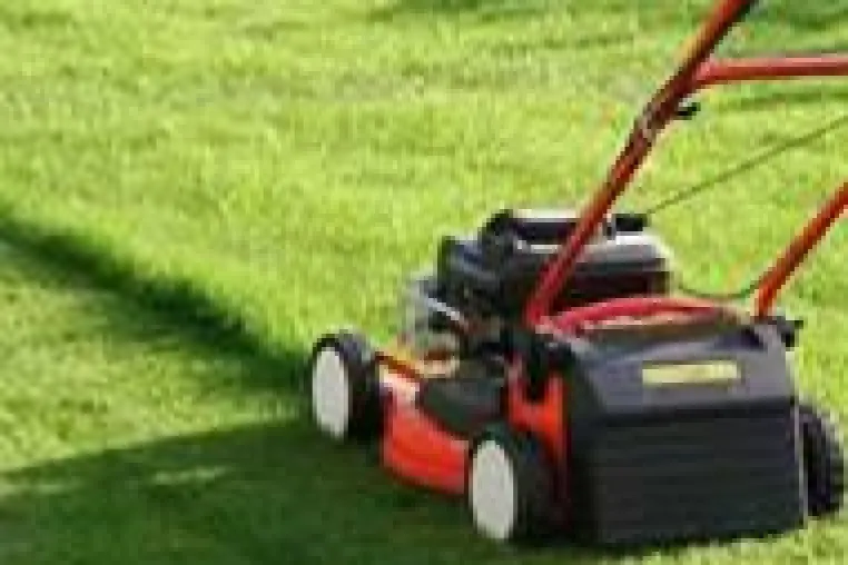 Bild: Die richtige Pflege von Rollrasen ist gerade im Sommer unverzichtbar- wichtige Tipps und Empfehlungen