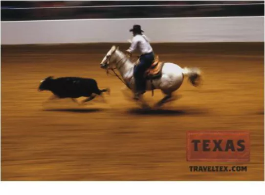 Bild: Wettkampf der Cowboys – Rodeo Saison in Texas