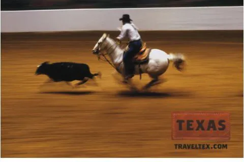 Bild: Wettkampf der Cowboys – Rodeo Saison in Texas