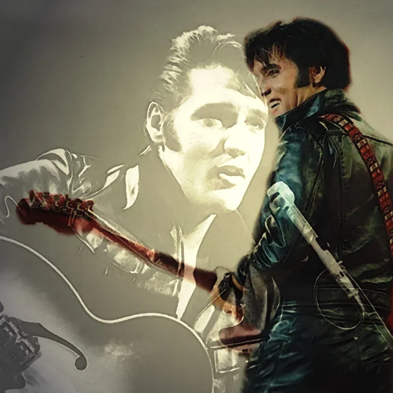 ELVIS ART by Theo Hues (© Theo Hues)