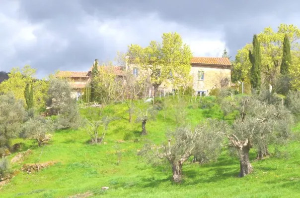 Bild: Ferienwohnung in Umbrien La Rogaia, Sommerurlaub 2014, Villa La Rogaia mehr als nur eine schöne Ferienwohnung
