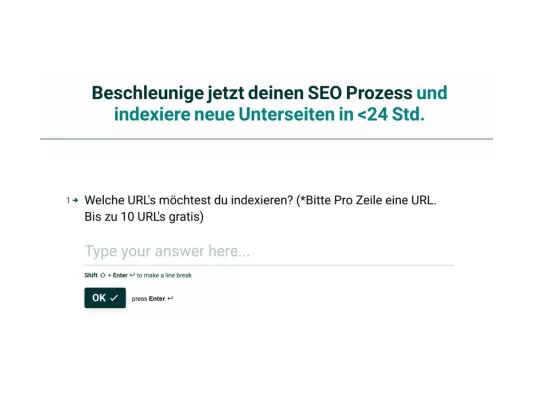 Bild: Google Indexierung Tool innerhalb 24 Std: Timo Spechts SEO-Revolution