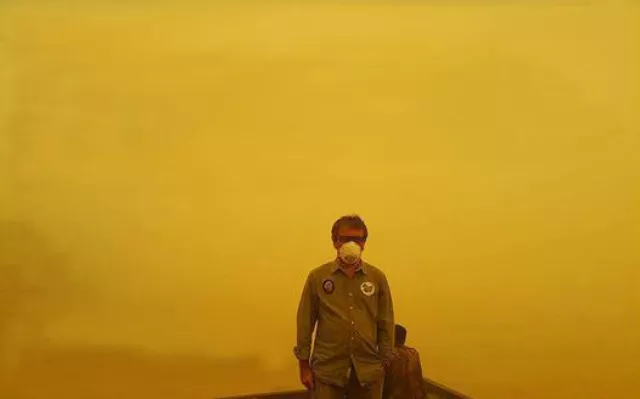 Bild: Vortrag und Gesprächsveranstaltung zu den aktuellen Bränden in Indonesien - Orang-Utans unter Feuer