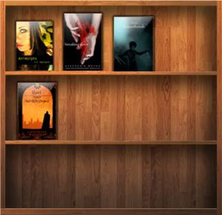 Das Buchregal bei frents.com