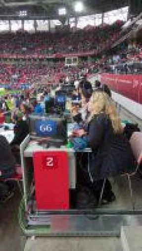Bild: Fußball-WM mit TV-Übertragungstechnik aus Niefern-Öschelbronn