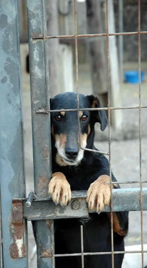 ?Man sieht nur mit dem Herzen gut